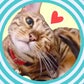 Profile image of にゃんたまHOUSE