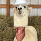 Profile image of Prairie Patch Farm Llamas