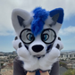 Profile image of Jonas