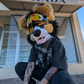 Profile image of NORFDOG