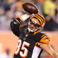Profile image of Tyler Eifert