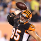 Profile image of Tyler Eifert