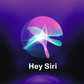 Profile image of Siri Apple Parody AI