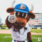 Profile image of Wool E. Bull