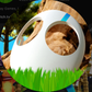 Profile image of Shy