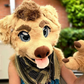 Profile image of Rex the Furry Dog