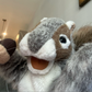 Profile image of Nutella the Squirrel