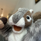 Profile image of Nutella the Squirrel