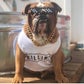 Profile image of Dude the Bulldog