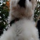 Profile image of Kate