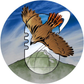 Profile image of Alveus Sanctuary