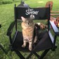 Profile image of Tonic the Cat