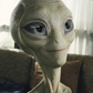Profile image of Amelia Graham