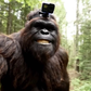 Profile image of Bigfootboyz