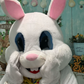 Profile image of Michele the Easter Bunny