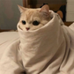 Profile image of Jaysmr