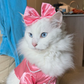 Profile image of Marie from Aristocats