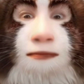 Profile image of Isaiah Chuckles 🥹