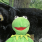 Profile image of Kermit