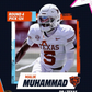 Profile image of Malik Muhammad