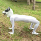 Profile image of Schumacher -シューマッハ-