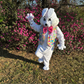 Profile image of Easter Bunny