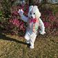 Profile image of Easter Bunny