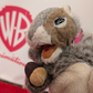 Profile image of Sassy Awkward Squirrel