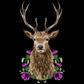 Profile image of Dark Curiosities