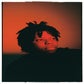 Profile image of Vontaemadeit