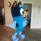 Profile image of BlueHeeler