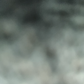Profile image of Ashton