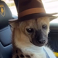 Profile image of Eddie The Hyena