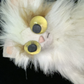 Profile image of HelloImScared