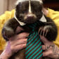Profile image of Nugget 42-PU dispatching skunk