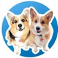 Profile image of Hammy & Olivia