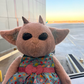 Profile image of Ned