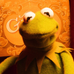 Profile image of The Green Sleeve(Kermit)