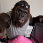 Profile image of BigfootRaves