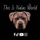 Profile image of This Is Nalas World