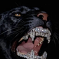 Profile image of DenisTwoSociety