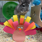 Profile image of Ande & Graham the Chinchillas