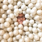 Profile image of Wade Stokan