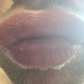Profile image of Titti lips
