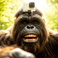 Profile image of Bigfoot Vlog Time
