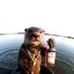 Profile image of Ozzy