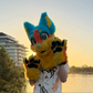 Profile image of Coast