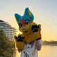 Profile image of Coast