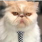 Profile image of Heyseymour