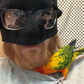 Profile image of JuanLargo Tha Six6